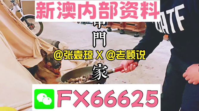 新澳門精準資料大全，管家婆料解析與探索，澳門精準資料大全，管家婆料解析與深度探索