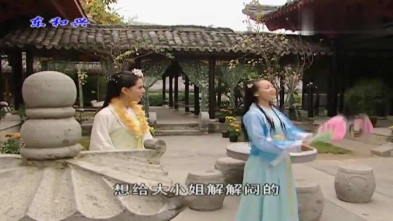 劉伯溫白小姐一肖期期準(zhǔn)，神秘預(yù)測(cè)背后的真相，劉伯溫白小姐生肖預(yù)測(cè)揭秘，神秘預(yù)測(cè)背后的真相