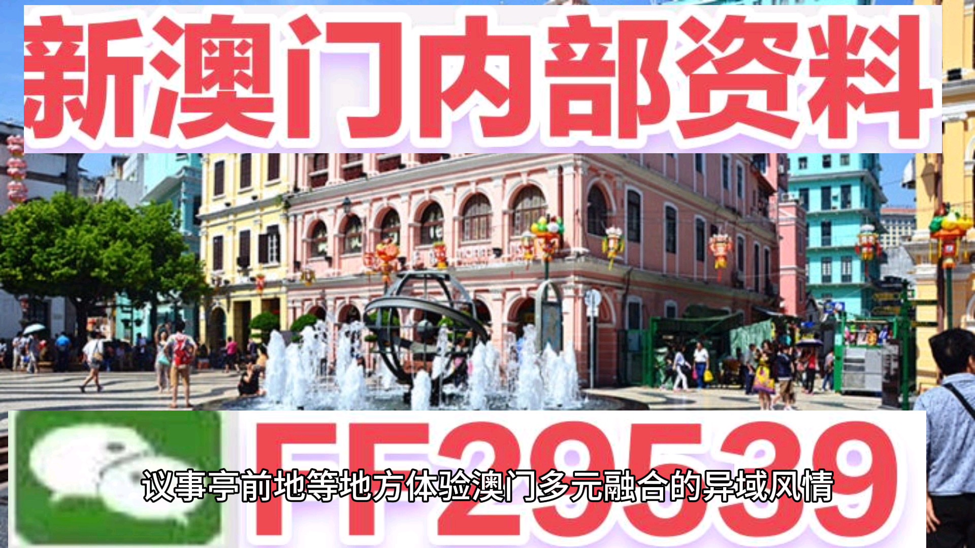 澳門今晚必開一肖一特，揭秘生肖彩票的魅力與策略，澳門生肖彩票揭秘，必開一肖一特的魅力與策略