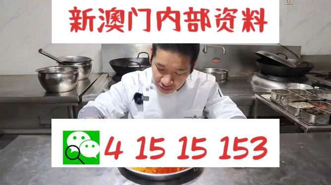 管家婆一肖資料大全，深度解析與探索，管家婆一肖資料深度解析與探索大全