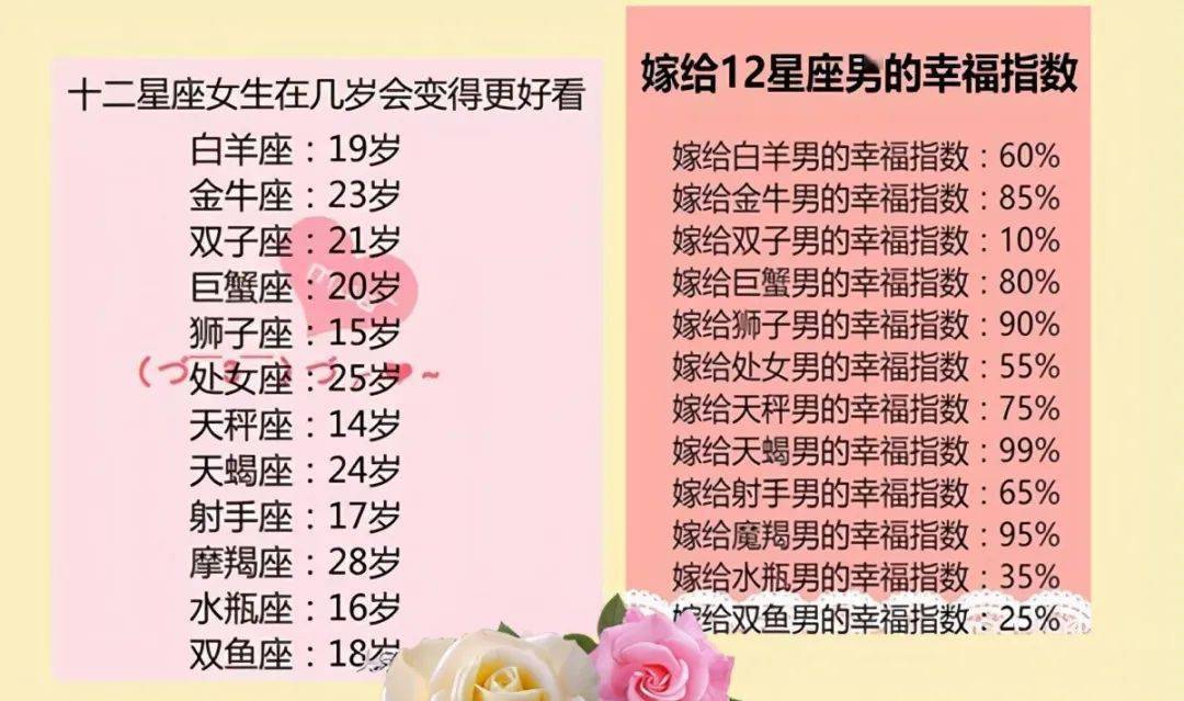 王中王十二生肖所屬之肖解析，王中王十二生肖解析揭秘