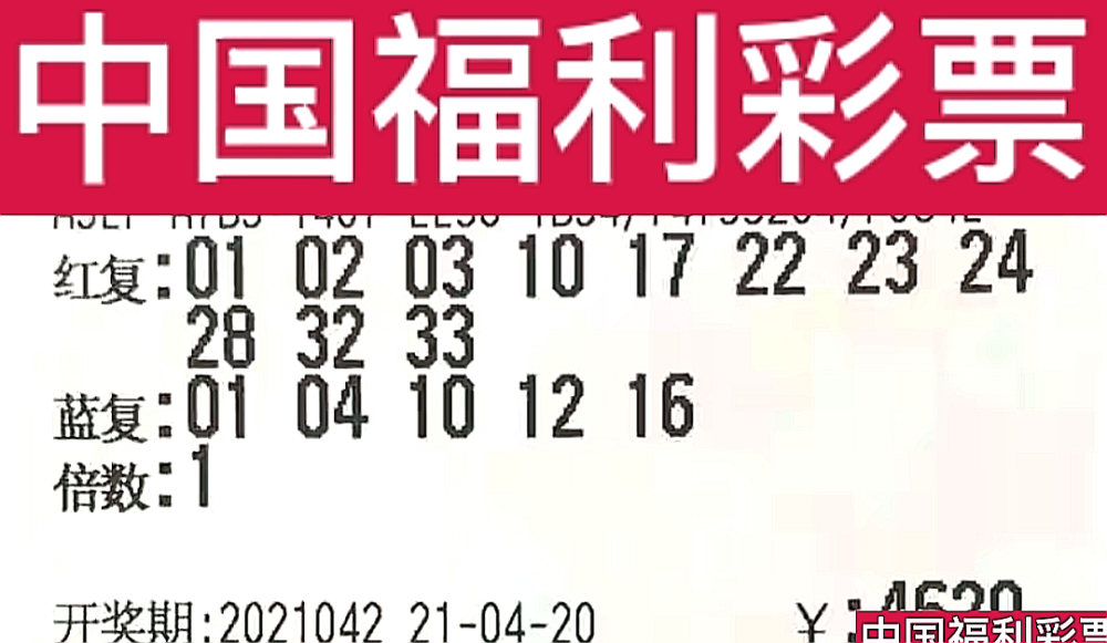 新奧門今晚開獎結(jié)果查詢第243期，全面解析與預(yù)測，新奧門第243期開獎結(jié)果解析與預(yù)測，今晚開獎揭秘
