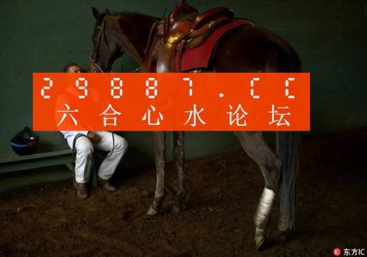 一肖一馬王中王一馬中特，深度解析與SEO優(yōu)化策略，一肖一馬王中王深度解析與SEO優(yōu)化策略探討