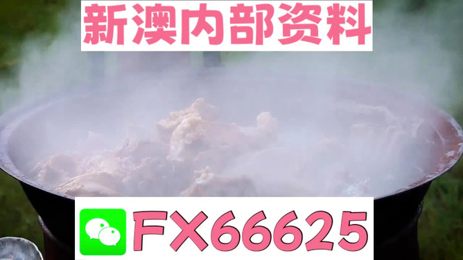新澳全年免費(fèi)資料大全，一站式獲取優(yōu)質(zhì)資源指南，新澳全年優(yōu)質(zhì)資源免費(fèi)獲取指南