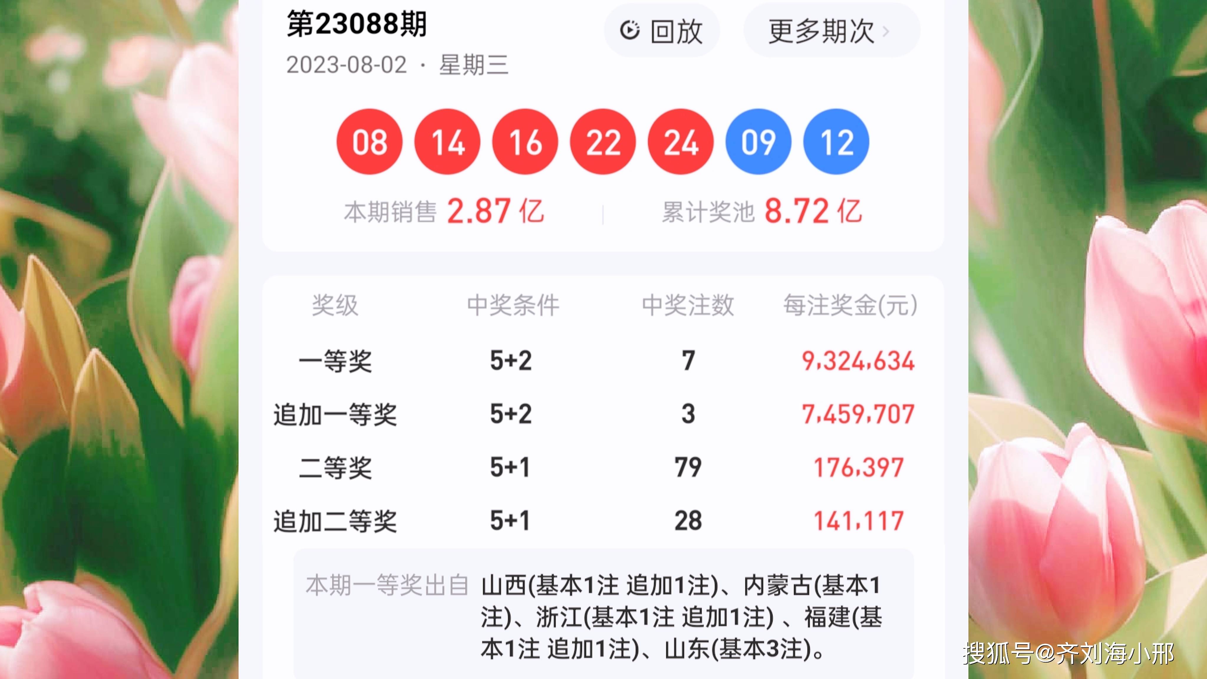 最新開獎結(jié)果揭曉，王中王與一肖中的幸運(yùn)時刻，王中王與一肖中幸運(yùn)時刻揭曉，最新開獎結(jié)果出爐