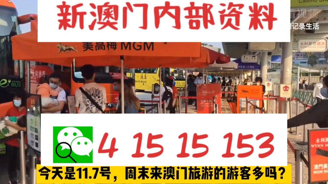 新澳今晚9點(diǎn)30分的精彩瞬間與背后故事，新澳之夜，9點(diǎn)30分的精彩瞬間與幕后故事
