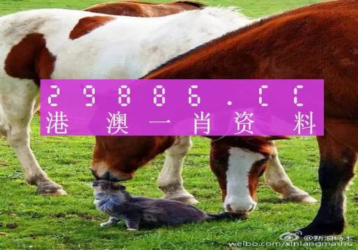 新奧門(mén)一肖一碼，揭秘精準(zhǔn)預(yù)測(cè)的秘密，揭秘新澳門(mén)一肖一碼精準(zhǔn)預(yù)測(cè)的秘密