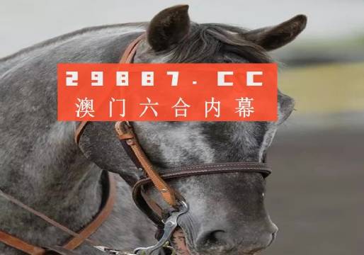 澳門一一碼一特一中準(zhǔn)選今晚，探索真實有效的選擇與策略，澳門今晚一特一中準(zhǔn)選碼，真實有效的選擇與策略探索