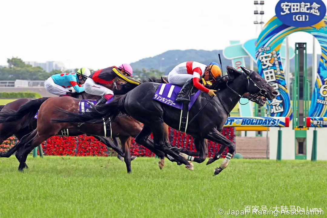 香港王中王與一馬中特肖的獨特魅力，深度解析與探索，香港王中王與一馬中特肖的獨特魅力，深度探索與解析