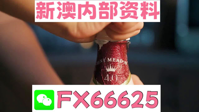 新澳門一碼一碼，揭秘精準(zhǔn)預(yù)測(cè)的秘密與真相，揭秘澳門一碼一碼精準(zhǔn)預(yù)測(cè)的秘密與真相