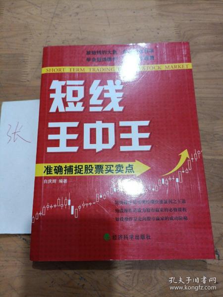 王中王平特一肖秀家網(wǎng)，深度解析與SEO優(yōu)化策略，王中王平特一肖秀家網(wǎng)，深度解析與SEO優(yōu)化策略指南