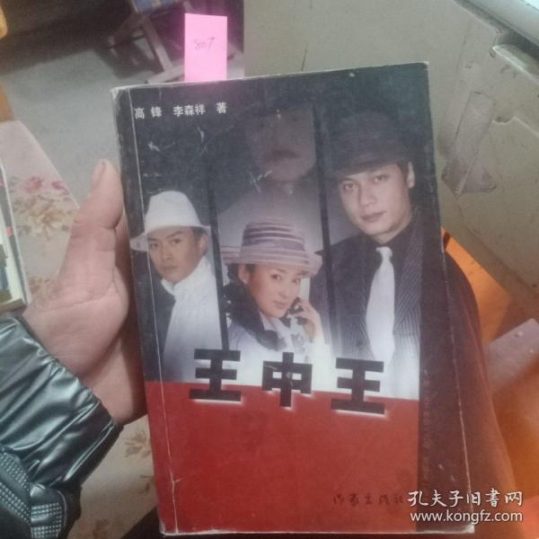 王中王資料一肖中天，深度解析與探索，王中王資料一肖中天，深度剖析與探索