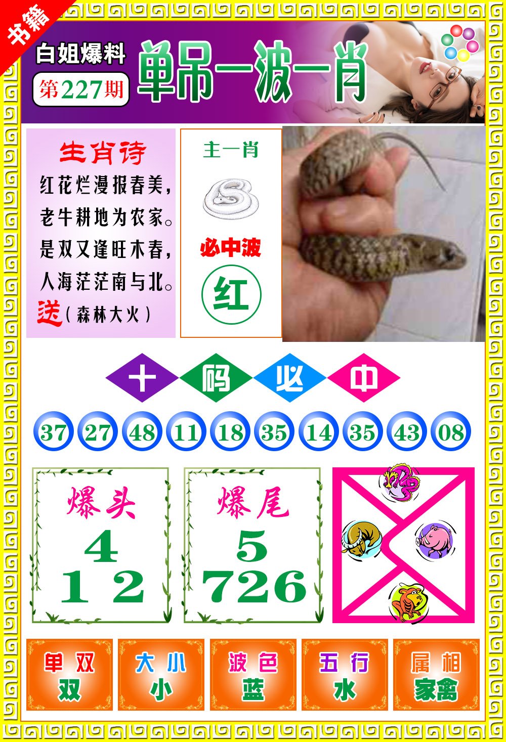 王中王免費(fèi)開獎(jiǎng)一肖結(jié)果，揭秘彩票背后的秘密，揭秘王中王彩票開獎(jiǎng)內(nèi)幕，一肖結(jié)果背后的秘密揭曉