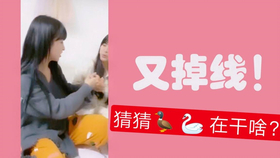 王中王欲錢詩猜一肖，王中王欲錢詩暗示的生肖之謎