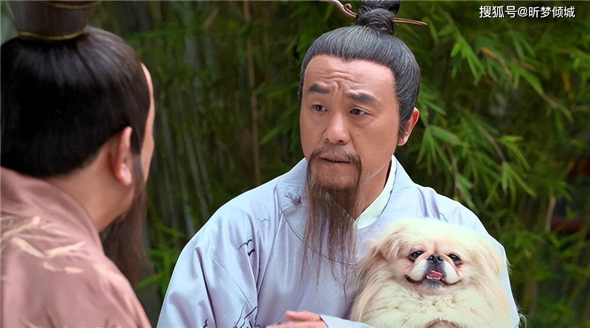 揭秘劉伯溫四不象一肖的神秘面紗——探尋背后的傳奇故事，揭秘劉伯溫四不象一肖背后的傳奇故事，神秘面紗下的神秘傳說
