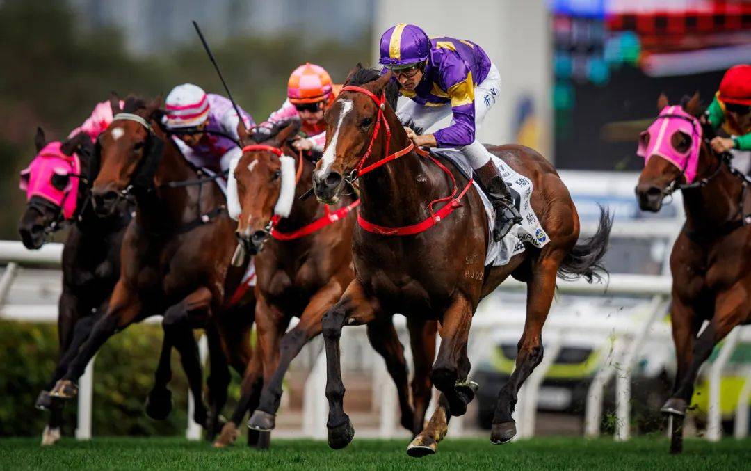 香港賽馬，探索賽馬運(yùn)動(dòng)的激情與榮耀之地——7777788888的獨(dú)特魅力，香港賽馬，激情與榮耀的獨(dú)特魅力探索——777778賽馬運(yùn)動(dòng)之地