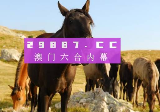 澳門管家婆一肖一碼一中一，揭秘與解析，澳門管家婆一肖一碼揭秘與解析