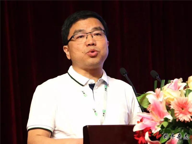 王中王一平特肖，揭秘第100期的秘密與策略，揭秘第100期秘密與策略，王中王一平特肖獨(dú)家解析
