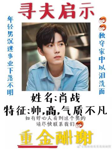 一肖一碼一一肖一子善，探尋命運密碼與智慧之光的完美結(jié)合，命運密碼與智慧之光，一肖一碼一一肖一子善的探尋