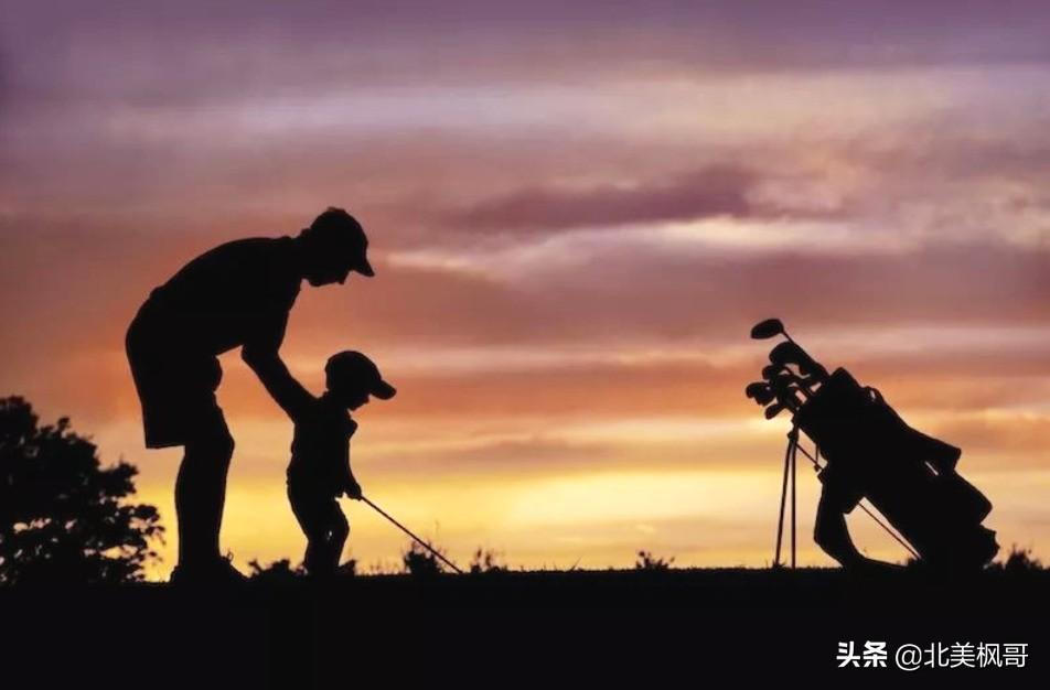 森林高手王中王與神秘生肖——深度解讀背后的故事與秘密，森林高手王中王與神秘生肖，故事背后的深度解讀與秘密探尋