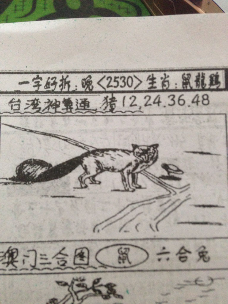 揭秘生肖奧秘，看圖猜一生肖劉伯溫的傳奇故事，揭秘生肖奧秘，劉伯溫傳奇故事中的生肖之謎探索