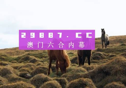 2020澳門最快開獎現(xiàn)場直播，直播開獎實況與體驗分享，2020澳門開獎現(xiàn)場直播實況與體驗分享