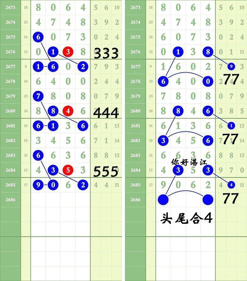 一肖三碼王中王絕密，揭秘背后的秘密與策略洞察，揭秘一肖三碼王中王絕密策略與背后秘密