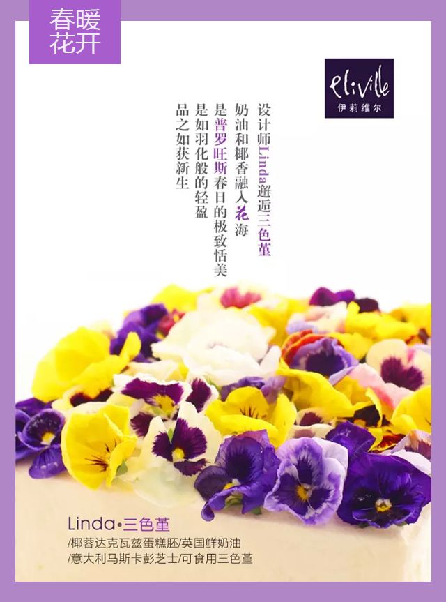 王中王339期指一生肖——探尋背后的秘密與玄機，探尋王中王339期生肖背后的秘密與玄機