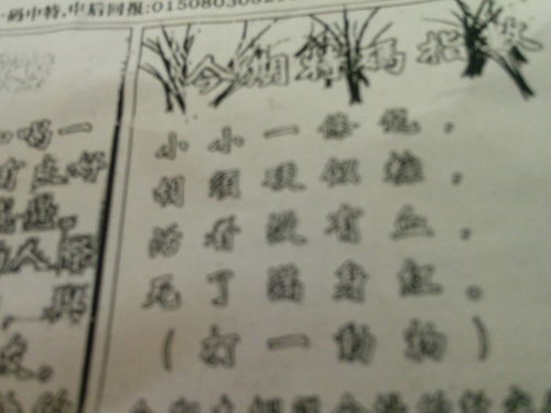 揭秘劉伯溫的一肖一特，探尋神秘傳奇背后的真相，劉伯溫傳奇揭秘，揭秘生肖之謎與獨特特質(zhì)背后的真相