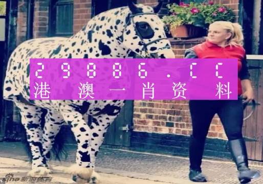 澳門王中王，揭秘一肖中特資料背后的秘密，澳門王中王揭秘，一肖中特資料背后的秘密傳奇