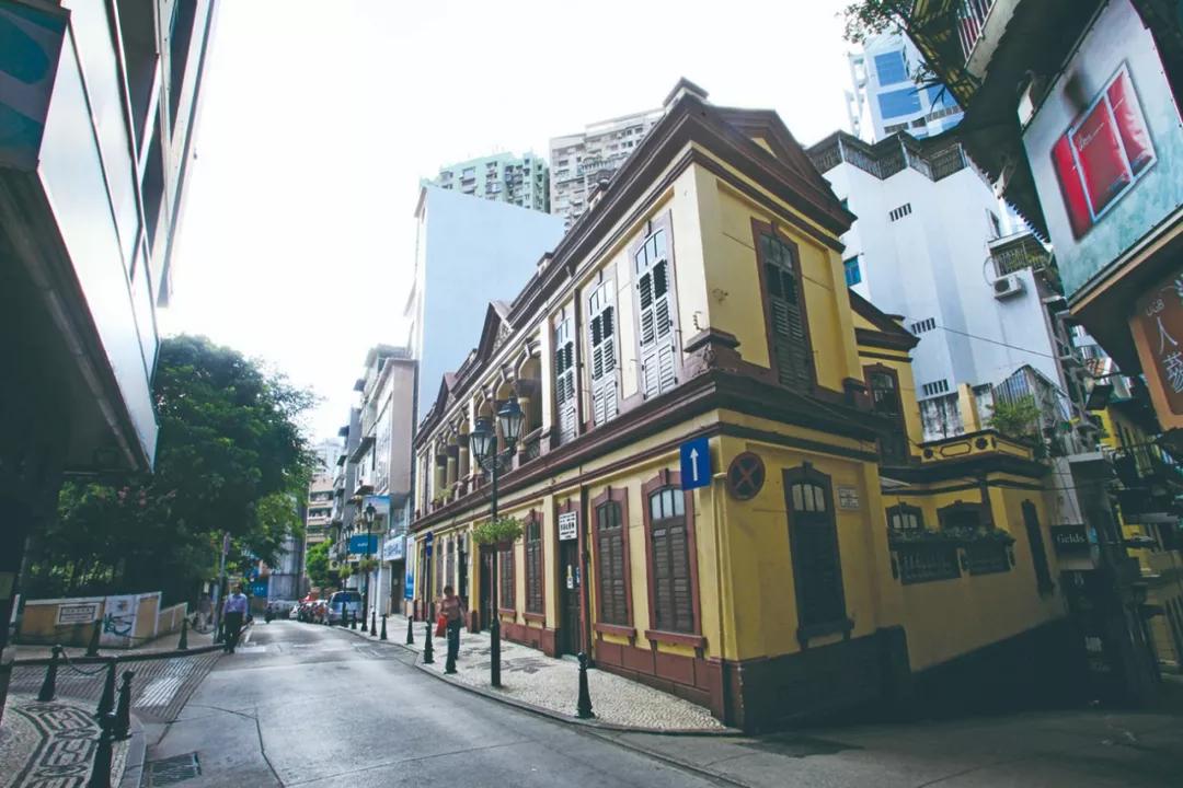 澳門今晚必開(kāi)一肖，揭秘生肖運(yùn)勢(shì)與預(yù)測(cè)邏輯，澳門今晚生肖預(yù)測(cè)揭秘，生肖運(yùn)勢(shì)與預(yù)測(cè)邏輯分析