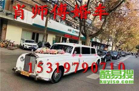 王中王車奪平特一肖免費——深度解析與探索，王中王車奪平特一肖，深度解析與免費探索