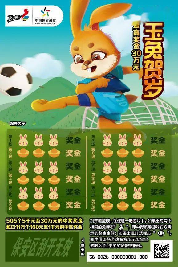 王中王一肖中特兔費(fèi)，探索關(guān)鍵詞背后的奧秘，探索關(guān)鍵詞王中王一肖中特兔費(fèi)背后的奧秘