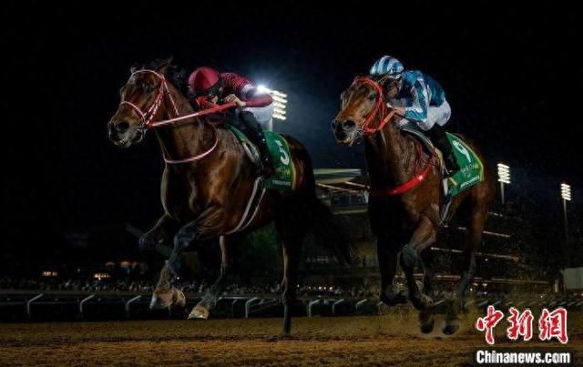 香港王中王一肖中特馬，探索背后的奧秘，香港王中王一肖中特馬背后的奧秘探索