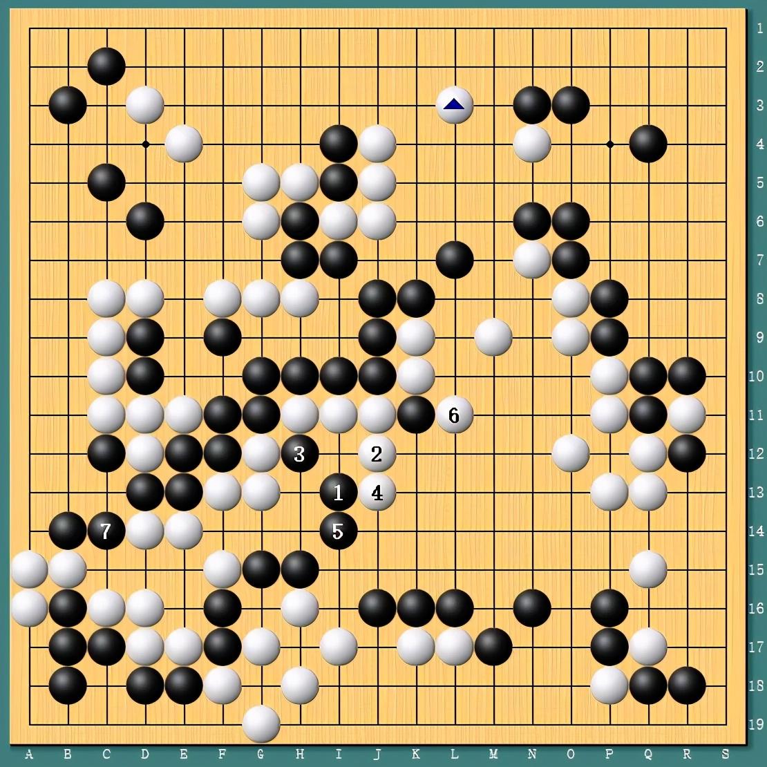 王中王四肖一碼資料論壇，探索與解析，王中王四肖一碼資料論壇，深度探索與解析