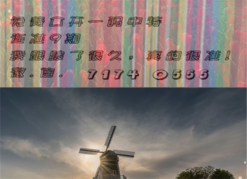 王中王四肖三期必出一期，揭秘彩票背后的秘密策略與技巧，揭秘彩票策略與技巧，王中王四肖三期必出一期之道