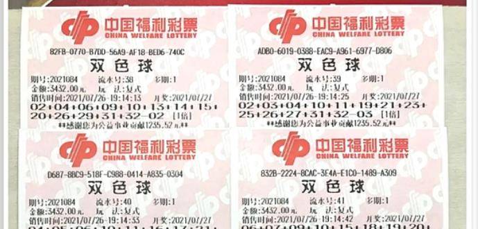 王中王084期指一生肖，解讀背后的秘密與生肖運(yùn)勢(shì)分析，王中王084期生肖揭秘，秘密解讀與運(yùn)勢(shì)展望