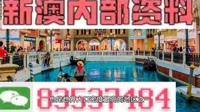 澳門王中王六碼新澳門，探索與解析，澳門王中王六碼新澳門，深度探索與解析