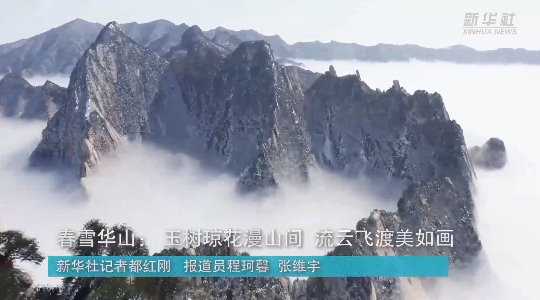 澳門最精準龍門，探索真正的精準之道，澳門最精準龍門，揭秘真正的精準之道