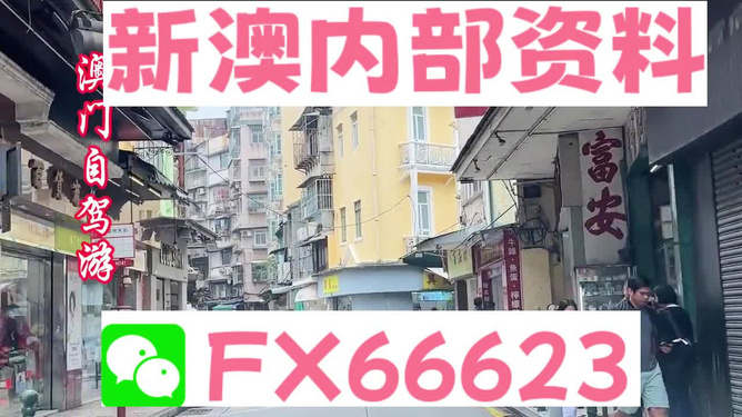 新澳精準(zhǔn)資料免費(fèi)提供，探索與利用資源助力成功，新澳精準(zhǔn)資料免費(fèi)分享，助力成功探索與利用資源