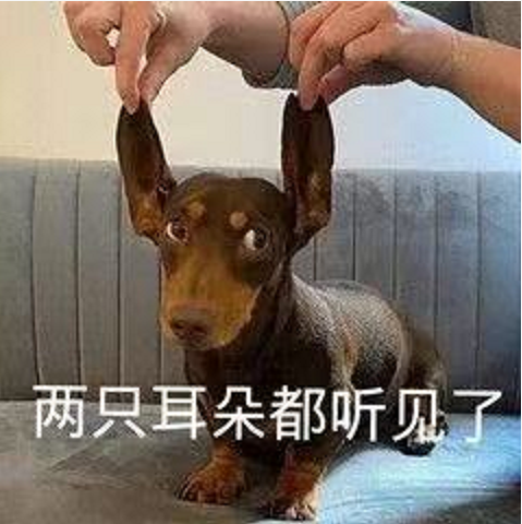 王中王四不象必中一肖，揭秘背后的秘密與策略，揭秘王中王四不象必中一肖背后的秘密與策略之道