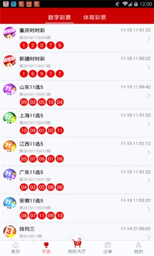 一碼一肖，揭秘背后的秘密與探索其獨特魅力，揭秘一碼一肖背后的秘密與獨特魅力探索