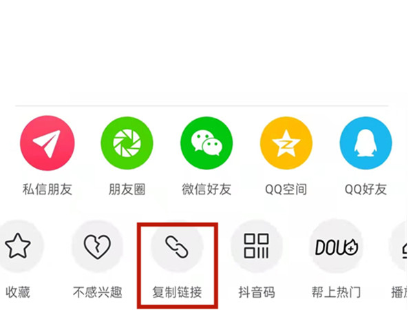 白小姐王中王中特一肖，神秘傳奇與SEO探索，神秘傳奇與SEO探索，白小姐王中王中特一肖的奧秘