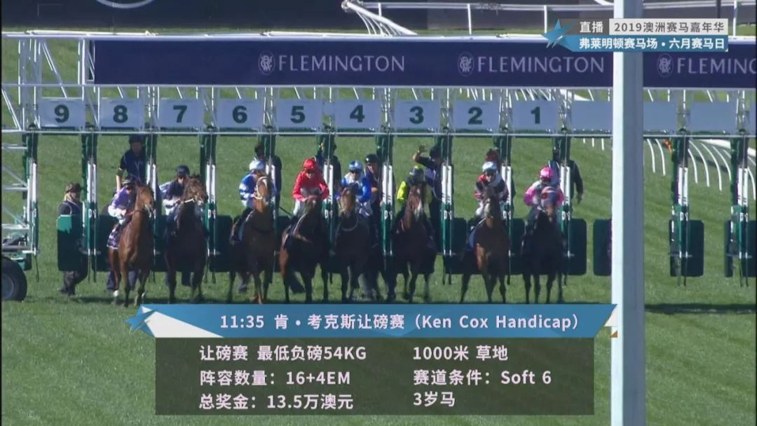 賽馬澳門六月開獎結(jié)果，探索與期待，澳門六月賽馬開獎揭曉，探索結(jié)果引期待