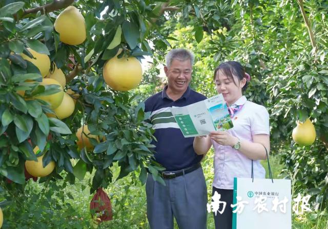 資料大全正版資料2025，一站式獲取所有你需要的信息，資料大全正版資料2025，一站式獲取所有信息總匯
