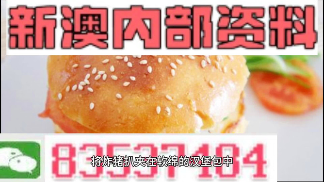 2025新澳正版資料精準解析，2025新澳正版資料精準解析手冊