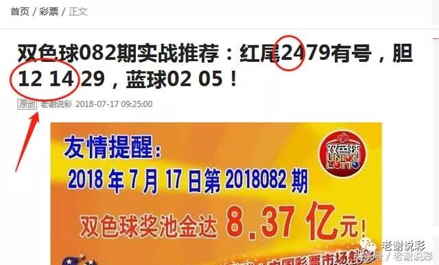 王中王082期指一生肖——探尋生肖魅力，洞悉運(yùn)勢(shì)奧秘，探尋生肖魅力，揭秘運(yùn)勢(shì)奧秘——王中王生肖運(yùn)勢(shì)解析 082期