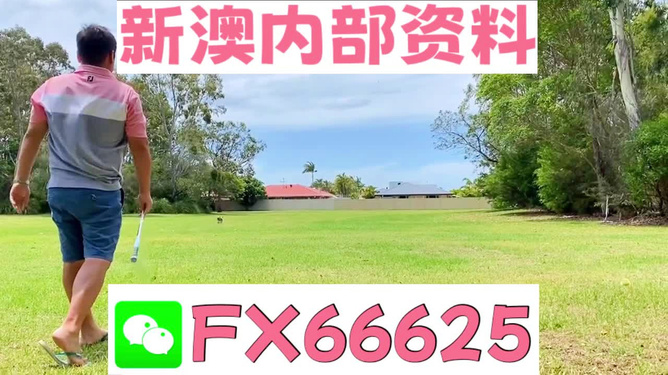 王中王一碼二肖，揭秘背后的秘密，揭秘王中王一碼二肖背后的秘密
