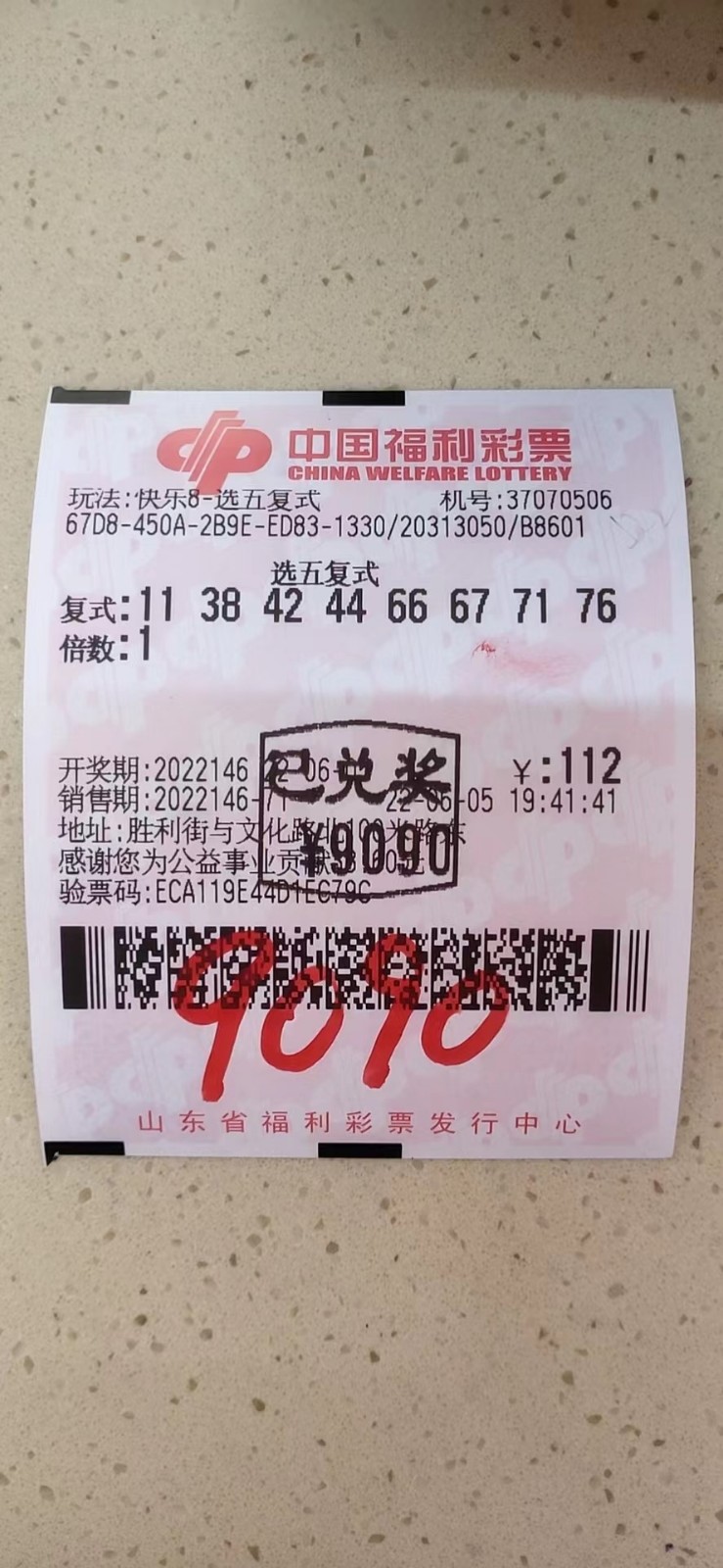 揭秘002期王中王平特一肖，背后的故事與奧秘，揭秘王中王平特一肖背后的故事與奧秘（第002期）