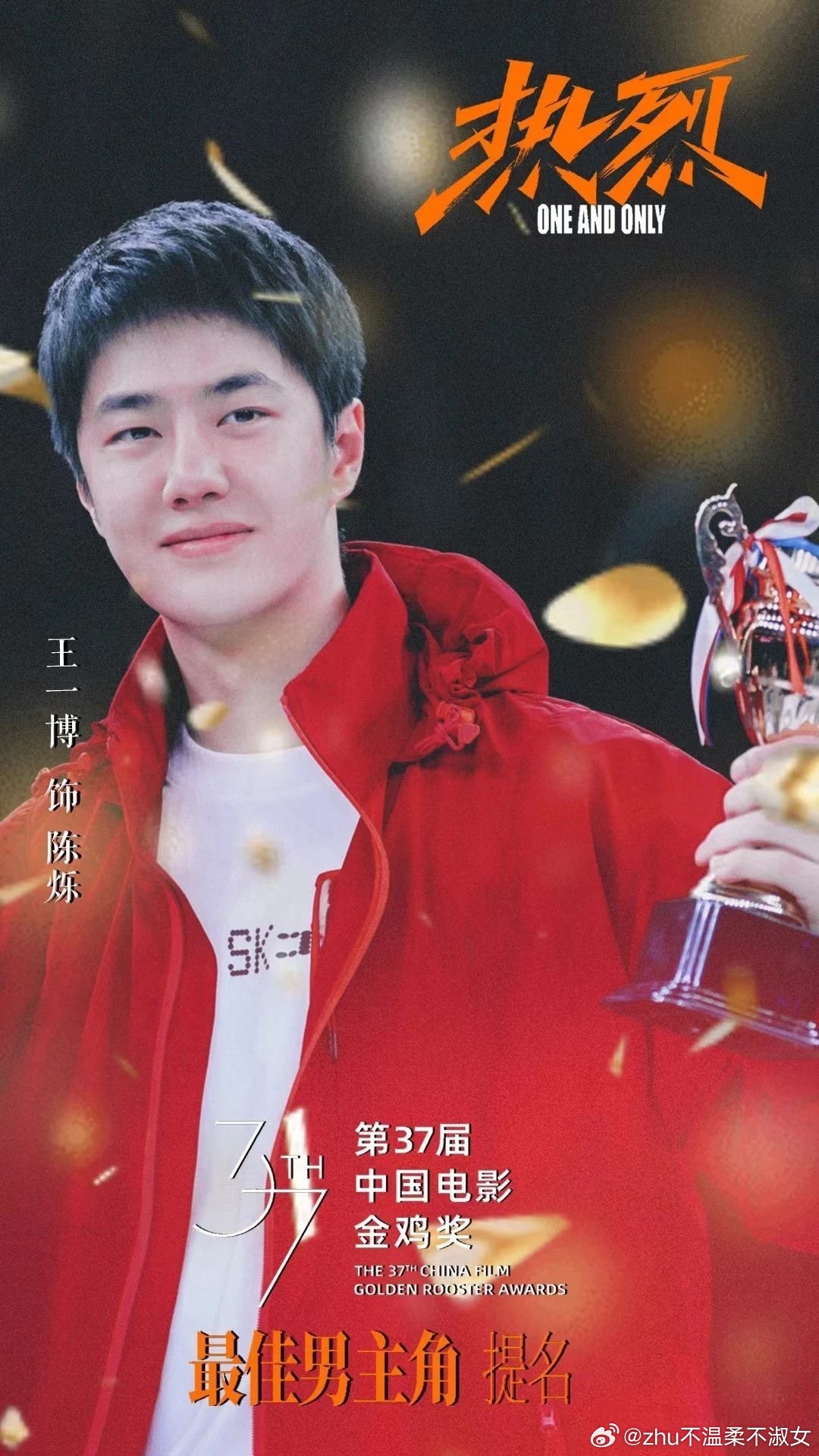 王中王一肖一特一中一中，探尋背后的故事與奧秘，探尋王中王一肖背后的故事與奧秘